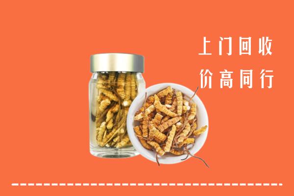 包头回收冬虫夏草